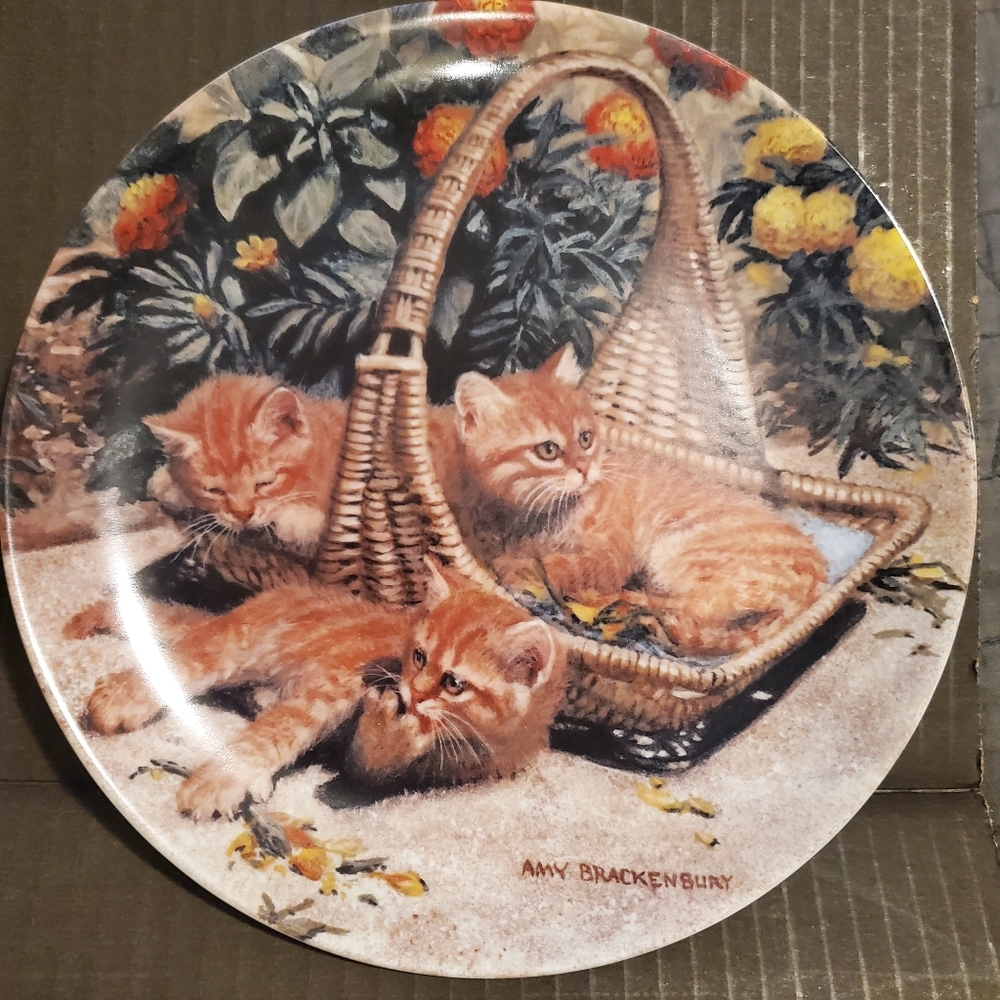 THE EDWIN M KNOW cats Flower B